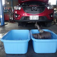 Cx 5ドライアイス洗浄でディーゼルエンジン吸気系カーボン煤除去 オートサプライ鈴木 埼玉県上尾市